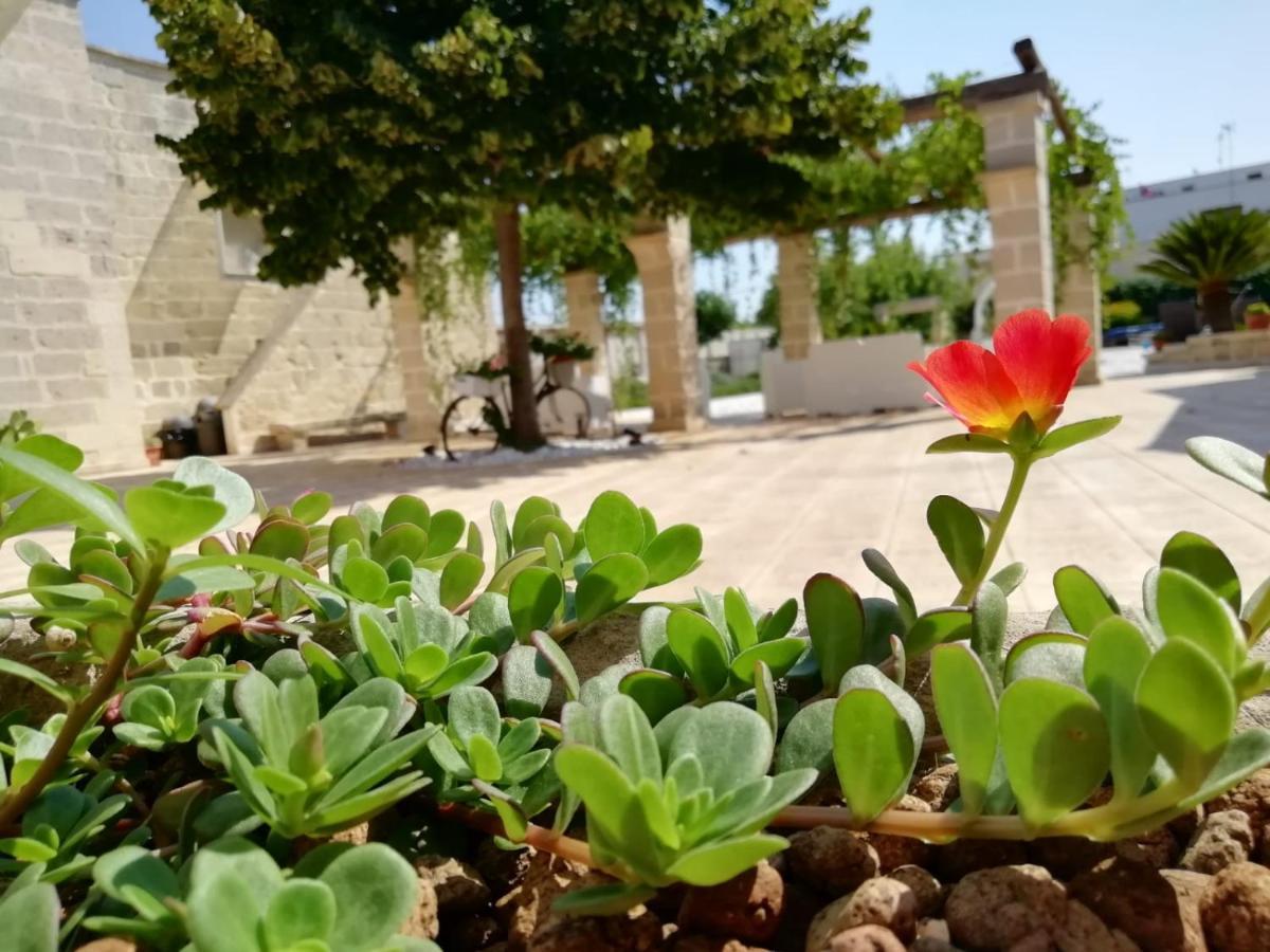Il Giardino Del Tiglio Bed & Breakfast Uggiano La Chiesa Eksteriør bilde