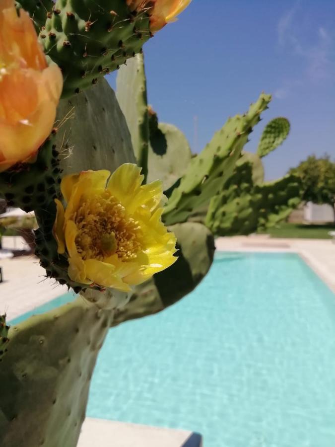 Il Giardino Del Tiglio Bed & Breakfast Uggiano La Chiesa Eksteriør bilde