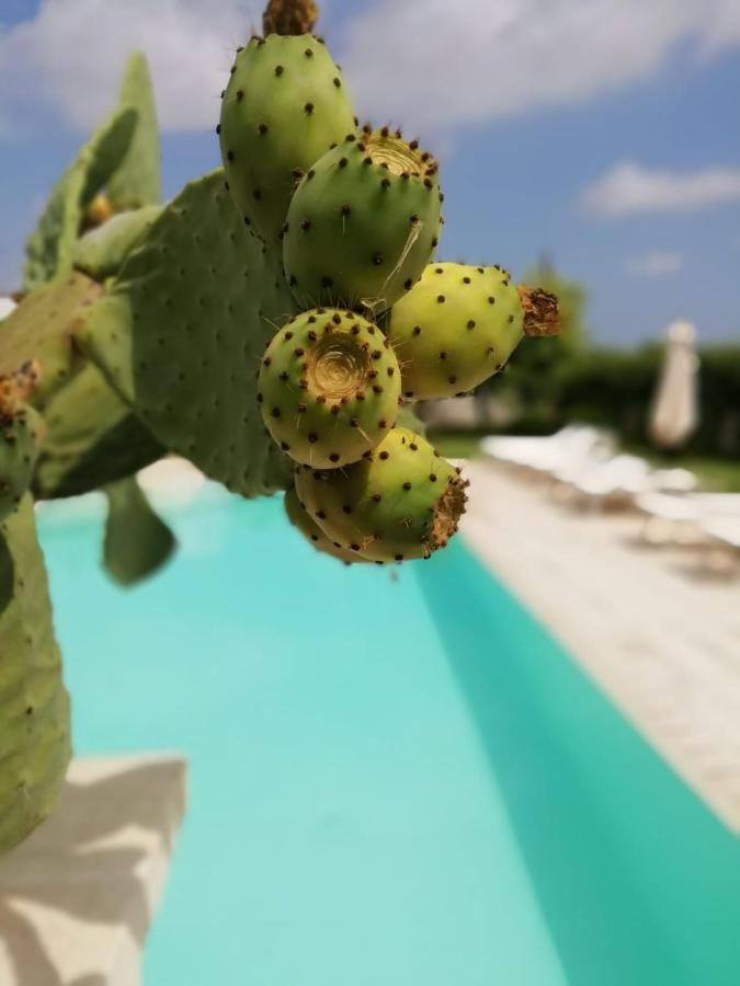 Il Giardino Del Tiglio Bed & Breakfast Uggiano La Chiesa Eksteriør bilde